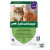 Advantage 80 für große Katzen und Zierkaninchen ab 4 kg, 4X0.8 ml> Nager|Flöhe, Zecken & Co.