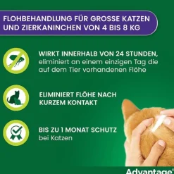 Advantage 80 für große Katzen und Zierkaninchen ab 4 kg, 4X0.8 ml><noscript><img width=