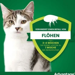 Advantage 80 für große Katzen und Zierkaninchen ab 4 kg, 4X0.8 ml><noscript><img width=