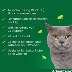 Advantage 80 für große Katzen und Zierkaninchen ab 4 kg, 4X0.8 ml><noscript><img width=