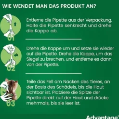 Advantage 80 für große Katzen und Zierkaninchen ab 4 kg, 4X0.8 ml><noscript><img width=