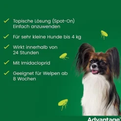 Advantage 40 für Hunde bis 4 kg, 4 St