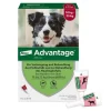 Advantage 250 für Hunde von 10-25 kg, 4 St