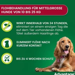 Advantage 250 für Hunde von 10-25 kg, 4 St