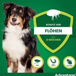Advantage 250 für Hunde von 10-25 kg, 4 St