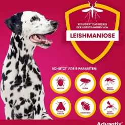 Advantix Spot-on Hund 10 - 25 kg Lösung, 4 St><noscript><img width=