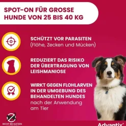 Advantix Spot-on Lösung z.Auftr.a.d.H.für Hund 25 - 40 kg, 4X4.0 ml><noscript><img width=