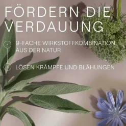 Weleda Amara-Tropfen Dilution, 20 ml><noscript><img width=