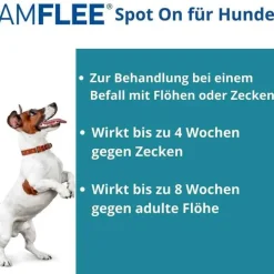 Amflee 402 mg Spot-On für sehr große Hunde, 3 St> Flöhe, Zecken & Co.