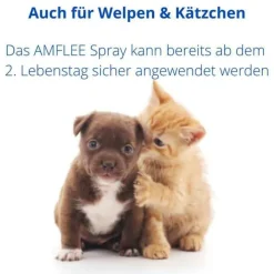 Amflee Spray für Katzen und Hunde, 100 ml