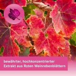 ANTIVENO Venentabletten 360 mg Filmtabletten, 30 St