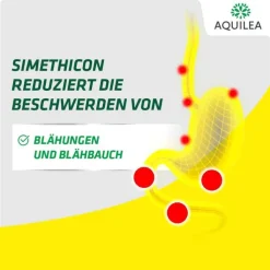 Aquilea Verdauung Total Pulver zum Einnehmen Sticks, 12 St