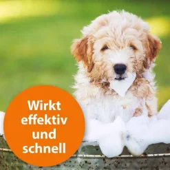 ARDAP Anti-Zecken Shampoo für Hunde, 250 ml> Flöhe, Zecken & Co.
