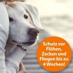 Ardap Flohspray zur Anwendung am Tier, 250 ml