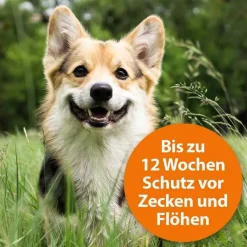 Ardap Spot-On für kleine Hunde bis 10 kg, 3 St