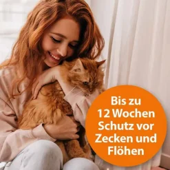 Ardap Spot-On für kleine Katzen bis 4 kg, 3 St