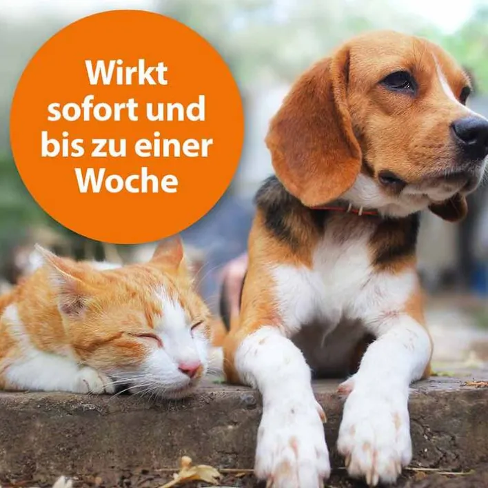 ARDAP Zecken- und Floh-Puder vet. (für Tiere), 150 g> Flöhe, Zecken & Co.|Flöhe, Zecken & Co.