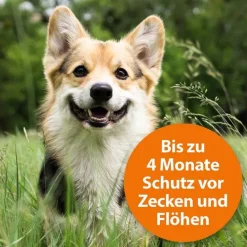 ARDAP Zecken-/Flohschutzhalsband große Hunde über 25 kg, 1 St> Flöhe, Zecken & Co.