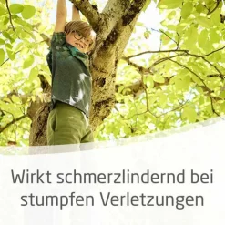 Arnika-Salbe 30% zur Behandlung stumpfer Verletzungen, 70 g