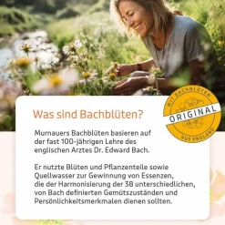Bachblüten Murnauers Globuli Konzentrier Dich, 10 g