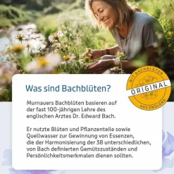 Murnauers Bachblüten Tropfen Schlaf Gut, 20 ml><noscript><img width=