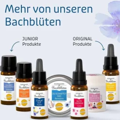 Murnauers Bachblüten Tropfen Schlaf Gut, 20 ml><noscript><img width=
