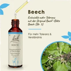 Original Bachblüten Bachblüten Nr. 3 Beech Tropfen, 20 ml> Bachblütentropfen