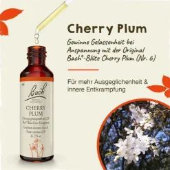 Bachblüten Nr. 6 Cherry Plum Tropfen, 20 ml