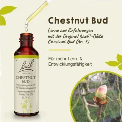 Original Bachblüten Bachblüten Nr. 7 Chestnut Bud Tropfen, 20 ml> Bachblütentropfen