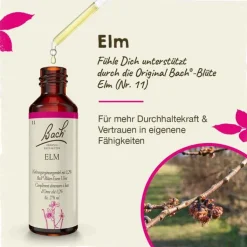 Bachblüten Nr. 11 Elm Tropfen, 20 ml