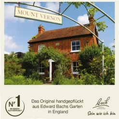 Original Bachblüten Bachblüten Nr. 14 Heather Tropfen, 20 ml><noscript><img width=