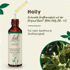 Bachblüten Nr. 15 Holly Tropfen, 20 ml