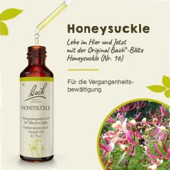 Original Bachblüten Bachblüten Nr. 16 Honeysuckle Tropfen, 20 ml> Bachblütentropfen
