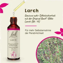 Bachblüten Nr. 19 Larch Tropfen, 20 ml
