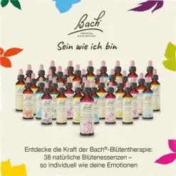 Bachblüten Nr. 20 Mimulus Tropfen, 20 ml