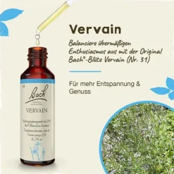 Original Bachblüten Bachblüten Nr. 31 Vervain Tropfen, 20 ml> Bachblütentropfen