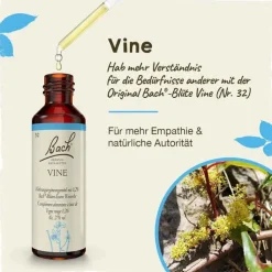 Bachblüten Nr. 32 Vine Tropfen, 20 ml
