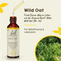 Original Bachblüten Bachblüten Nr. 36 Wild Oat Tropfen, 20 ml> Bachblütentropfen