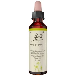 Original Bachblüten Bachblüten Nr. 37 Wild Rose Tropfen, 20 ml> Bachblütentropfen