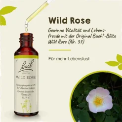 Original Bachblüten Bachblüten Nr. 37 Wild Rose Tropfen, 20 ml> Bachblütentropfen