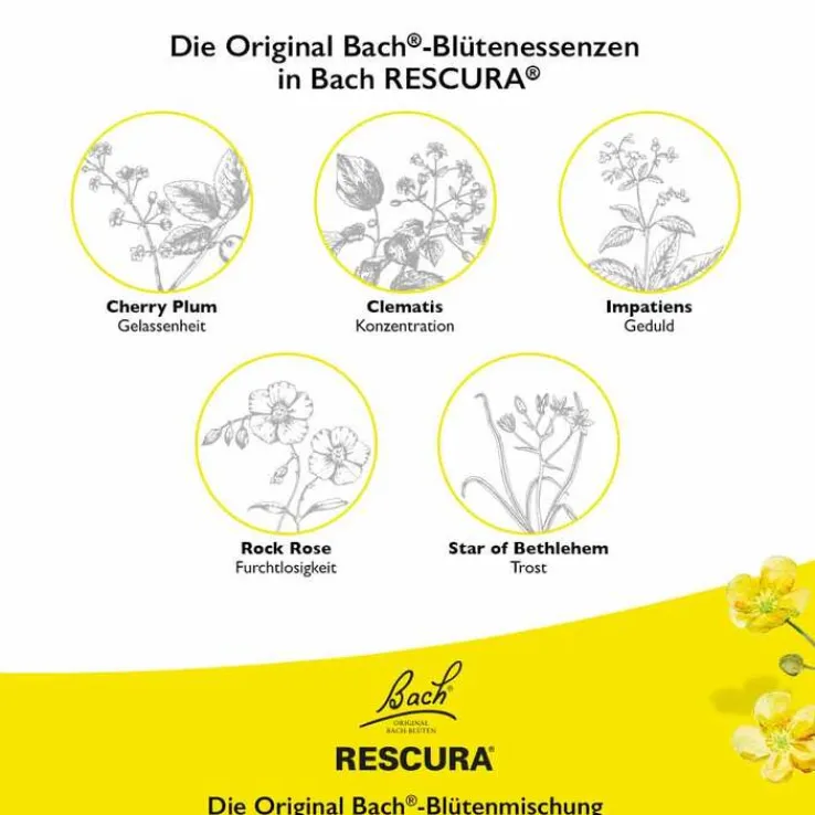 Bachblüten Original Rescura Kids Tropfen alkoholfrei, 10 ml