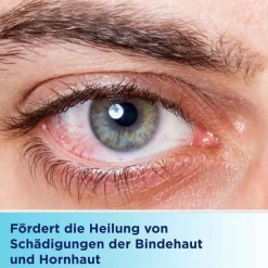 Bepanthen Augen- und Nasensalbe zur Förderung der Wundheilung, 10 g