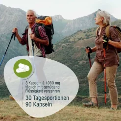 GSE Bio Omega 3 Fischöl Kapseln, 90 St><noscript><img width=