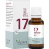 Pflüger Biochemie 17 Manganum sulfuricum D 12 Globuli, 15 g> Salze Als Globuli|Salze 13-24