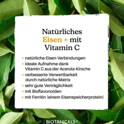 Biotanicals Eisen + Kapseln, 120 St