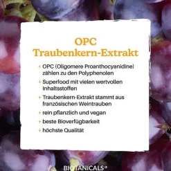 Biotanicals OPC Traubenkernextrakt Kapseln, 150 St