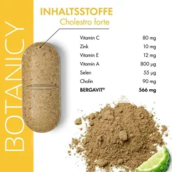 Feelgood Botanicy Cholestro forte mit Bergavit Tabletten, 60 St><noscript><img width=