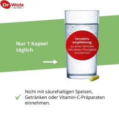 Brokkoliextrakt + Aktiv-Enzym Dr. Wolz magensaftresistent Kapseln , 60 St