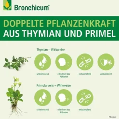 Bronchicum® Tropfen, 100 ml