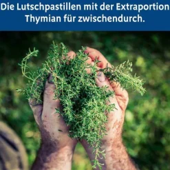 Bronchipret Thymian Pastille, 50 St